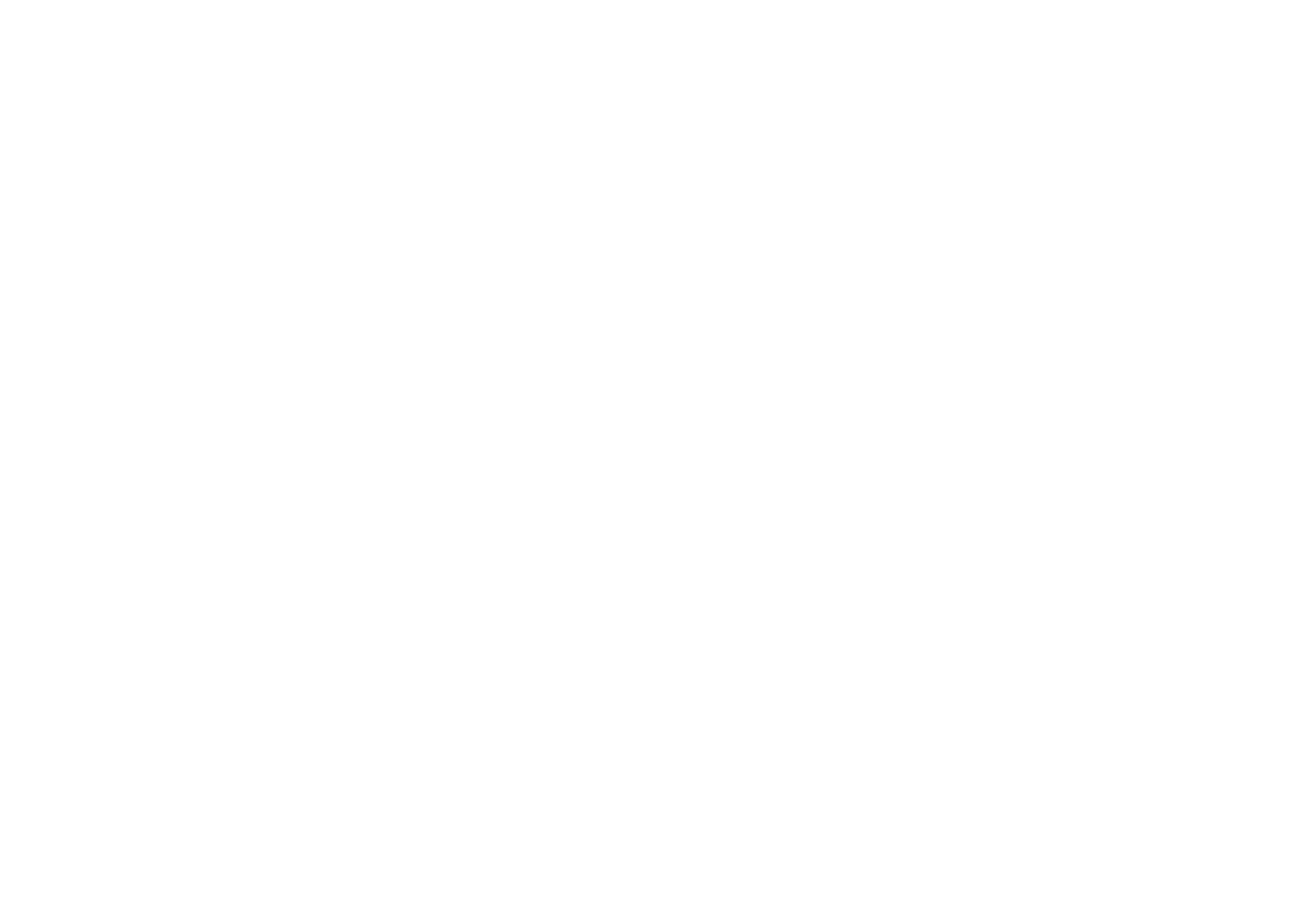 CITY-LINK Express