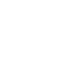 CityLink Logo